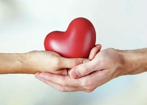© Fotolia / Africa Studio © Fotolia / Africa Studio